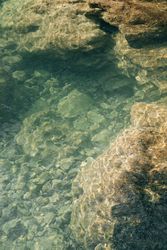 Autumn leaves on rough shore near clean water
