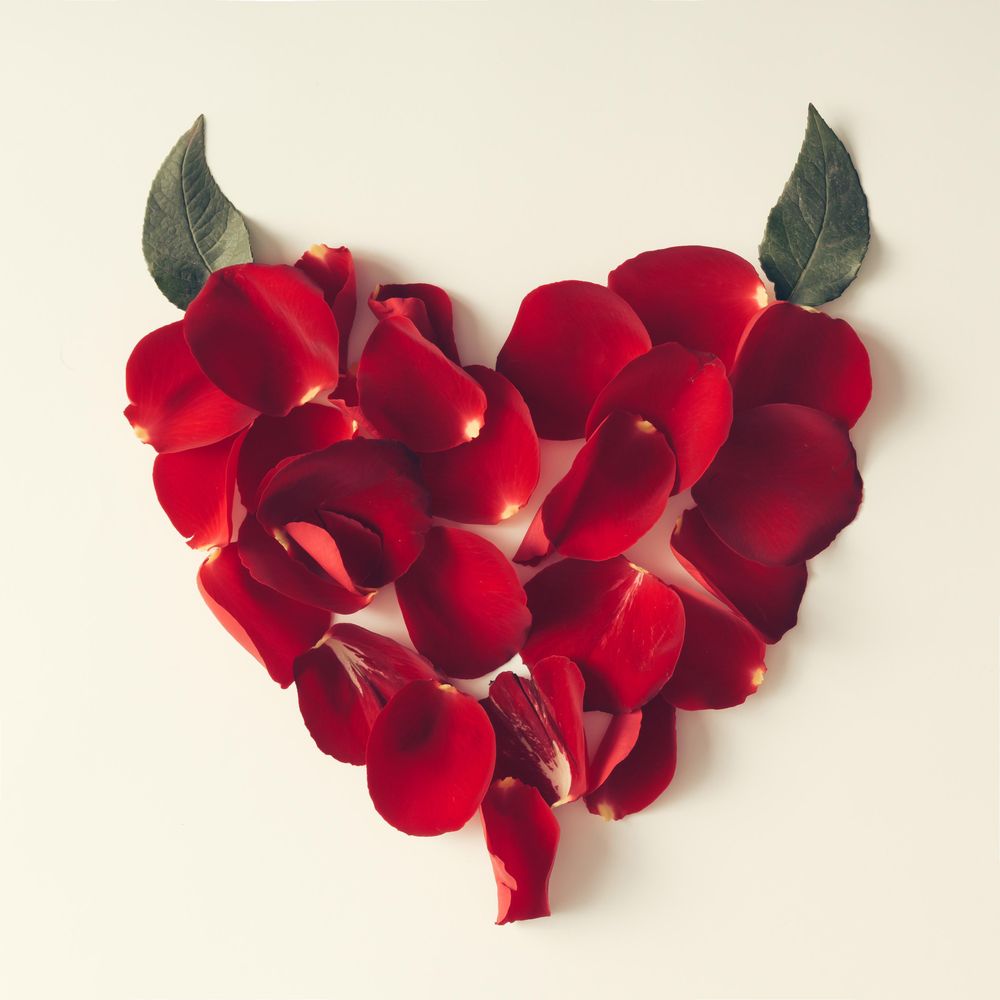 Red rose petals in a heart shape with leaves as devils horns