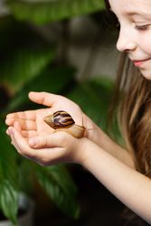 Snail achatina on child's hand