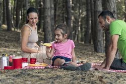 Family talking and bonding during an outdoor picnic in a beautiful forest setting.