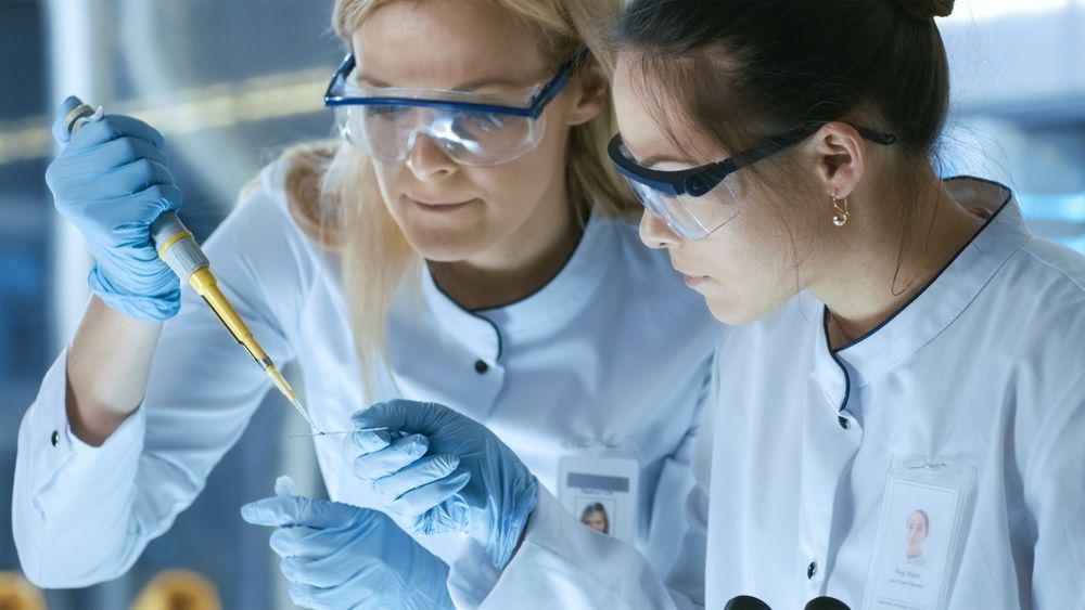 Medical Research Scientist Drops Sample on Slide and Her Colleague Examines it Under Microscope.