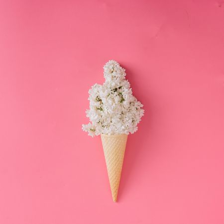 Lilac flower in ice cream cone on pink background