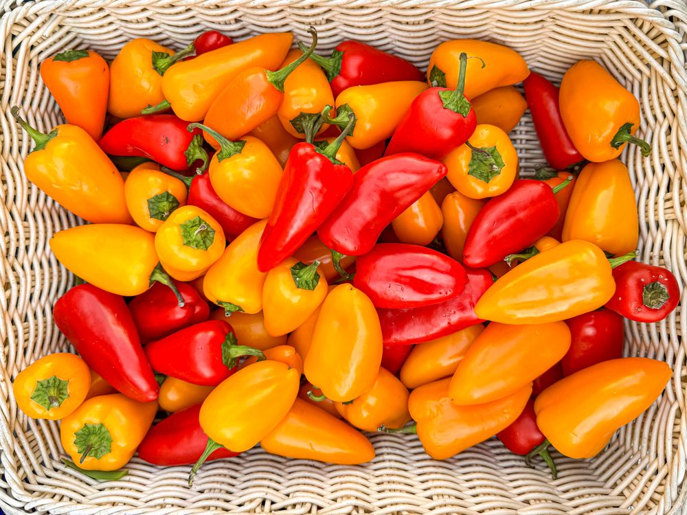 Sweet peppers in basket