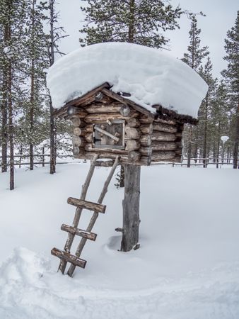 Wooden hut in snowy forest