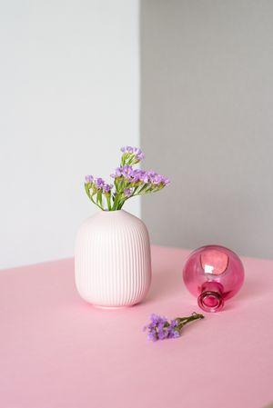 Violet sea lavender flowers in a multicolor background