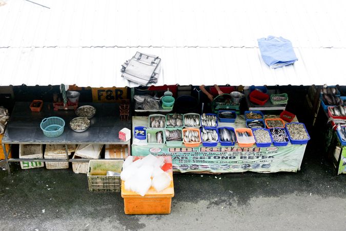 Coolers of fish lined up at street market