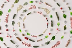Rings of circles made of festive branches, pine cones and leaves