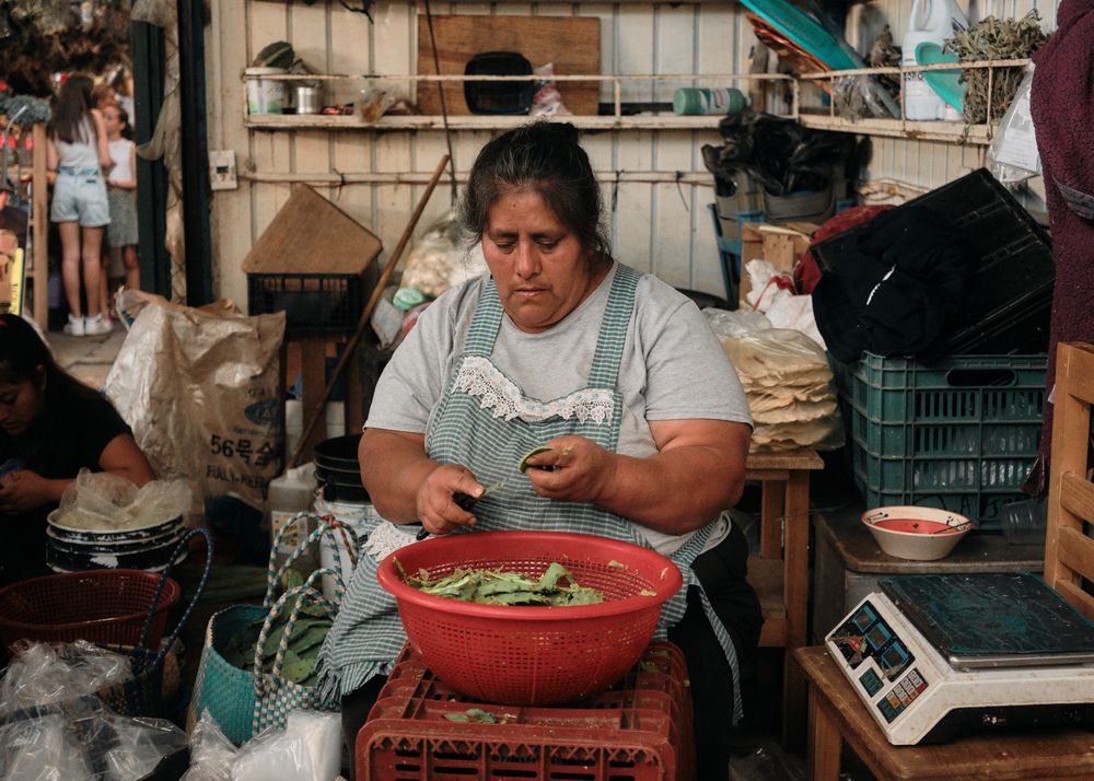 Woman trimming cactus for food