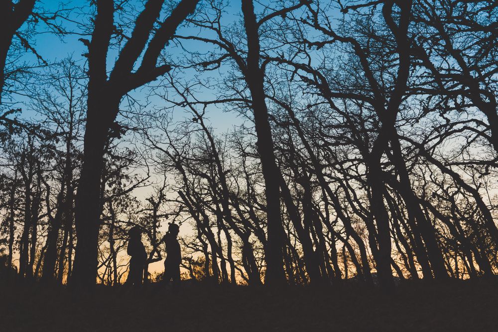 People walking in autumn forest at sunset