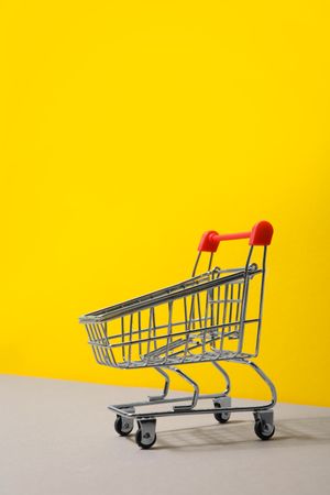 Concept of shopping, space for text