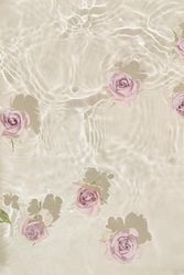 Light pink rose flowers in water