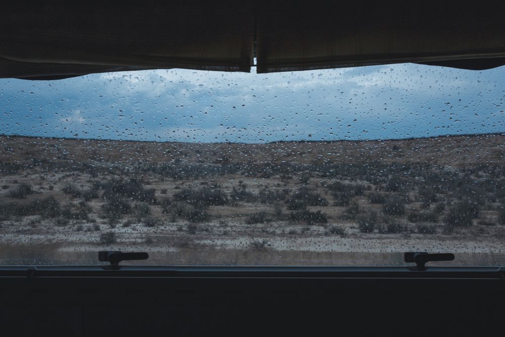 Desert gloomy landscape with green vegetation