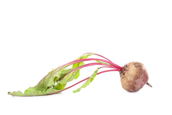 Root of organic beet isolated on plain background