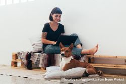 Woman on wooden bench working from home typing on laptop with dog at her feet 5QR1m4