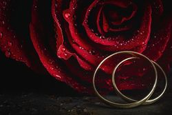 Red roses with dark background with wedding ring