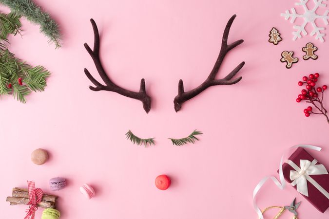 Reindeer face made of evergreen fir eyelashes, red macaron and antlers on pink background