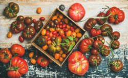 Assortment of different tomatoes, large to small and green to red