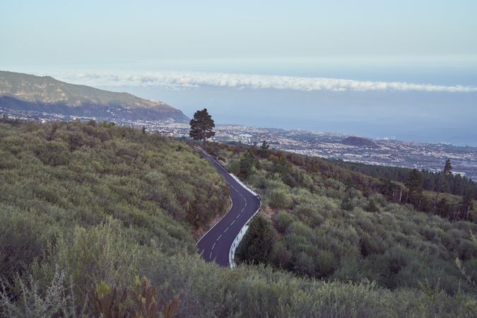 Roadway among forest near town