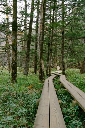 Landscape of Kamikochi trail (Japan alps / Japanese mountain)