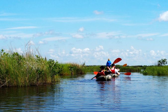 Gliding Through Nature: Kayaking Adventure in the Everglades on a Sunny Day