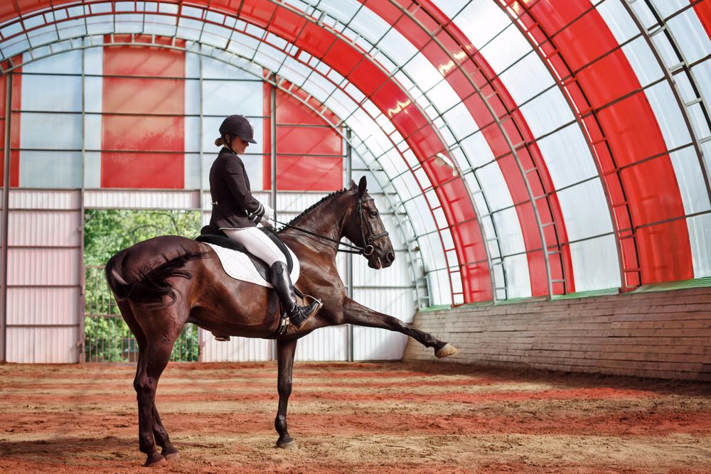 Side view of horse trotting in arena with horseback rider