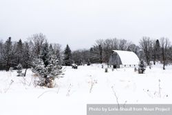 Abandoned farm building in the forest in the winter 5wmvvb