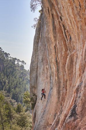 Mountaineer climbing rock in nature