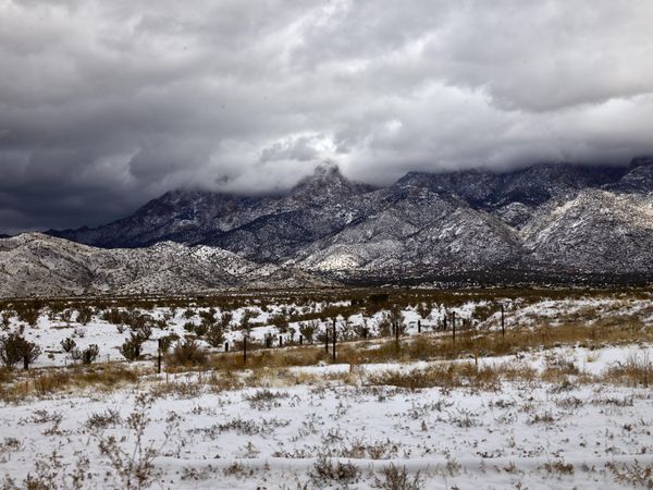 Snow on overcast day in the mountains north of Albuquerque, New Mexico