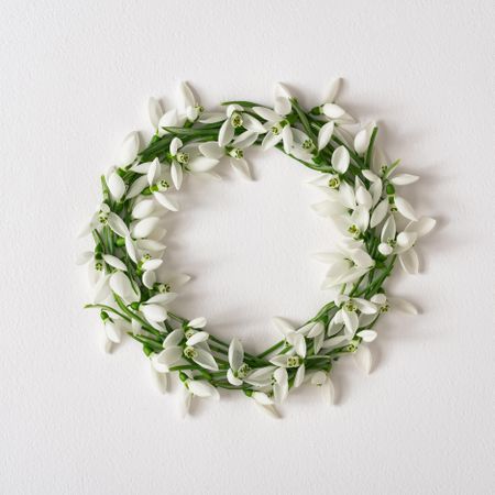 Snowdrop flowers circle on light paper