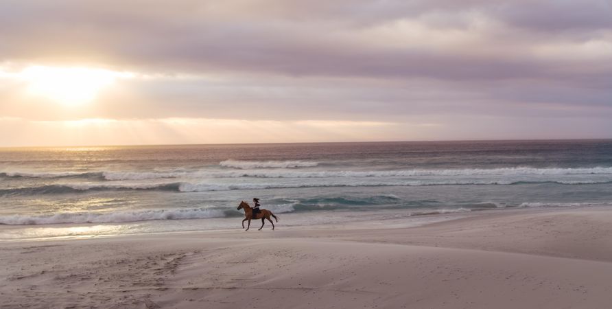 Beautiful seashore with a female riding horse