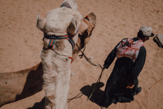 Man and camel near Great Pyramids