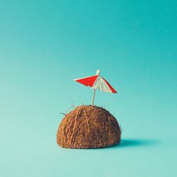 Coconut half with parasol
