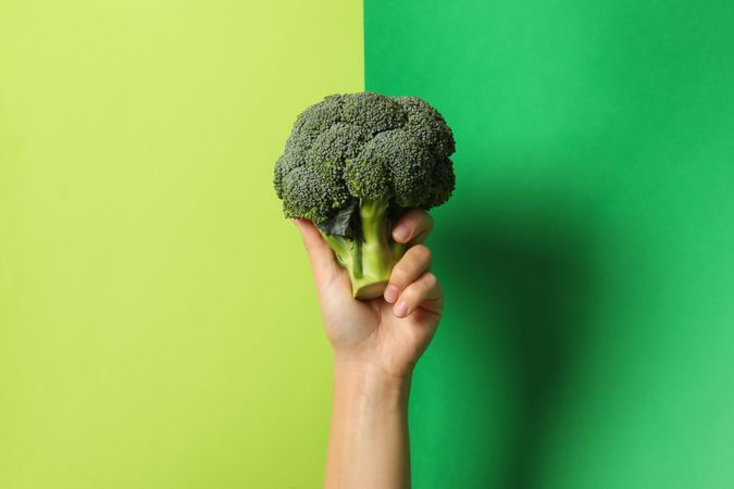 Female hand hold broccoli on two tone background