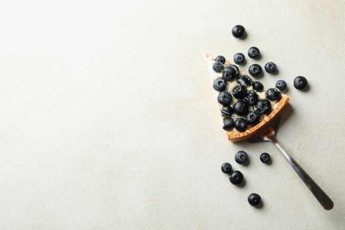 Spatula with blueberry pie slice on gray background