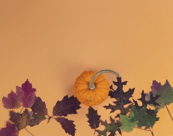 Autumn holiday concept background with pumpkin and leaves
