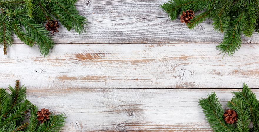 Christmas Evergreen branch decorations in all corners on vintage wooden boards