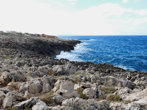 sea