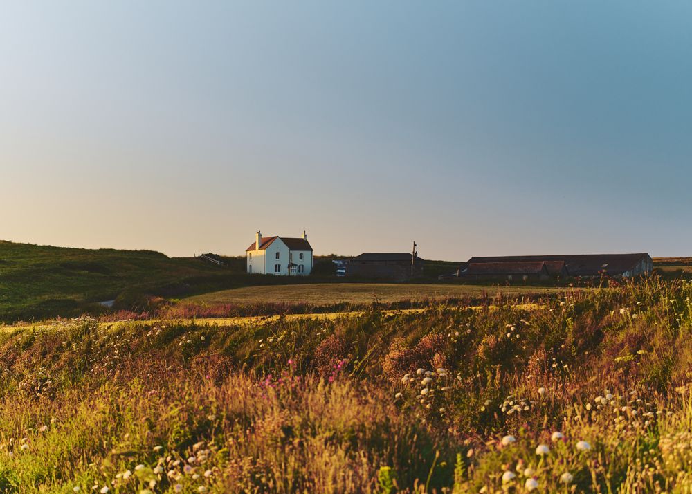 Country houses in a British field
