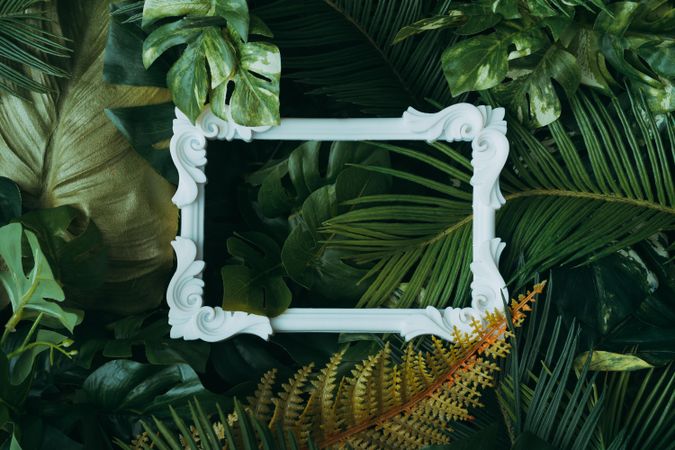 Creative layout made of tropical leaves with picture frame