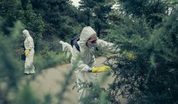 People with protection suits looking for evidence