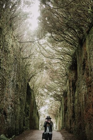 Young stylish woman taking photo on camera on way between high walls and trees