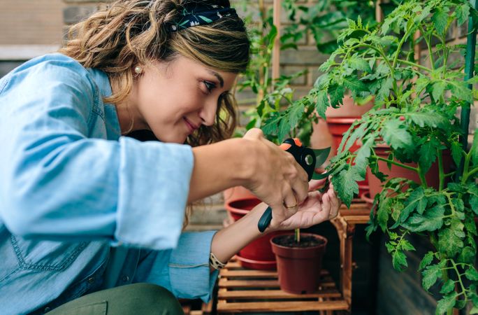 Portrait of woman gardener using pruning shear to trim plant leaves of urban garden on terrace