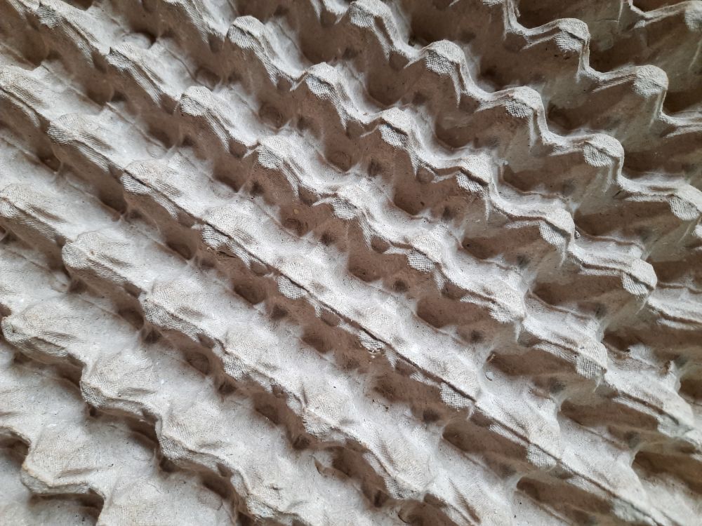 Diagonal Pattern of Quail Egg Carton Texture