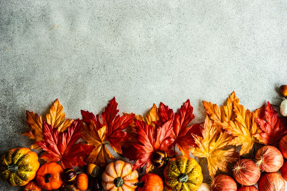 Flatlay of autumn leaves, braid of onions and squash decorations