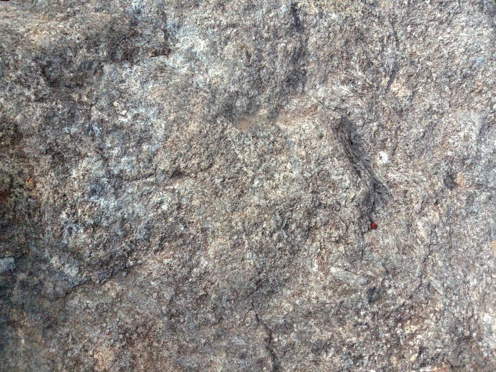 Grey texture of large rock