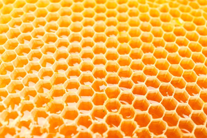 Honeycombs with sweet golden honey on whole background, close up