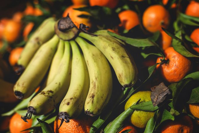 street market of assortment of fresh fruits and vegetables