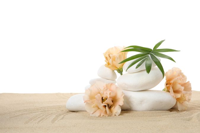 Stones, flowers and tropical leaf, isolated on plain background