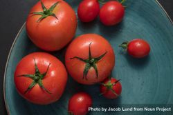 Closeup of ripe tomatoes placed in a plate 4NaE25