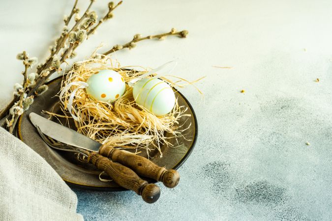Easter holiday concept with pastel decorative eggs in nest on plate with pussy willow